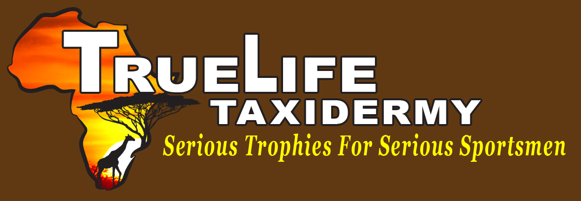 Truelife Banner.png